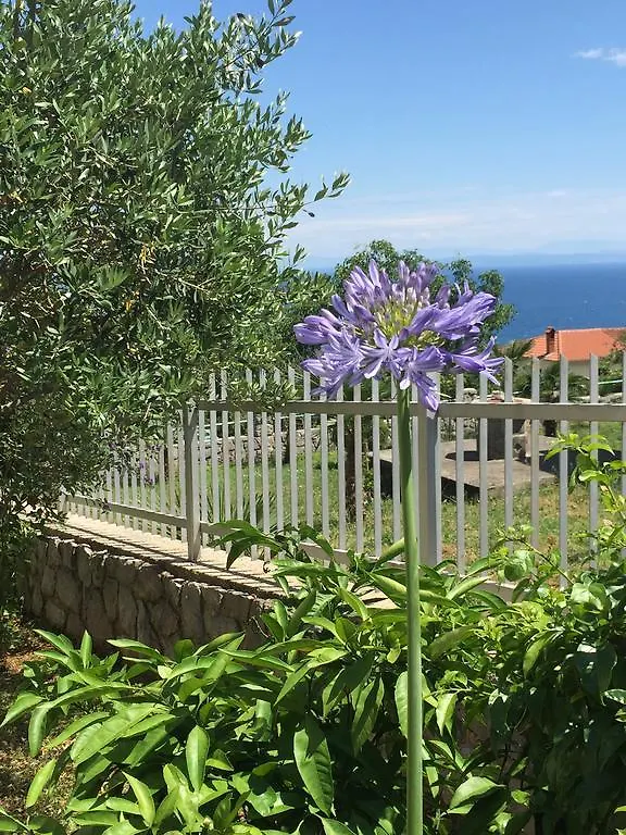 Apartments Molly Lovran 0*,  Croatia